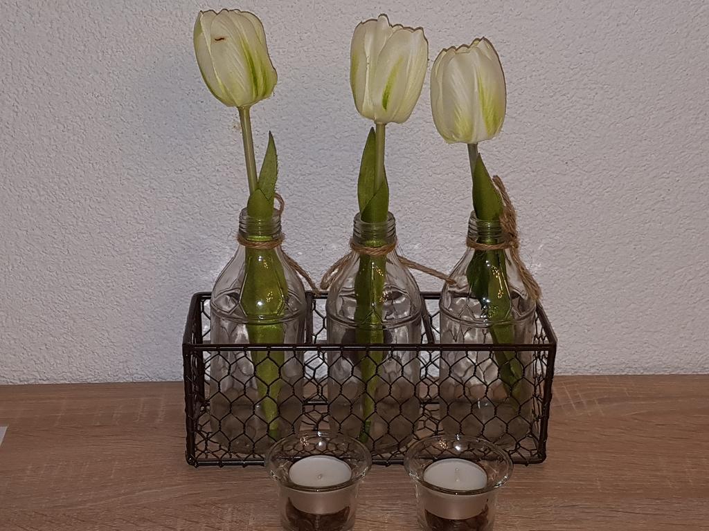 Durgut * Ringsheim